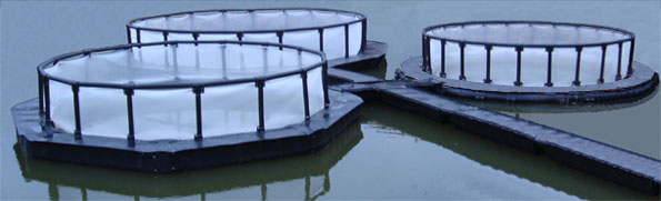 net cage and mooring systems